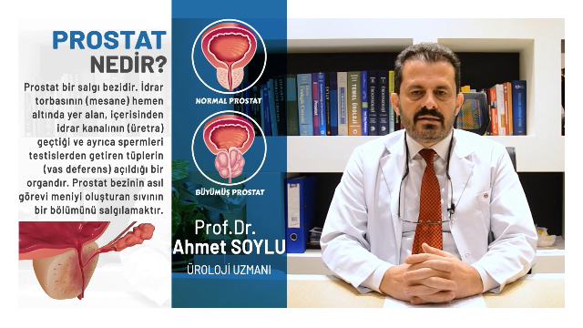 Prostat Nedir Ahmet Soylu