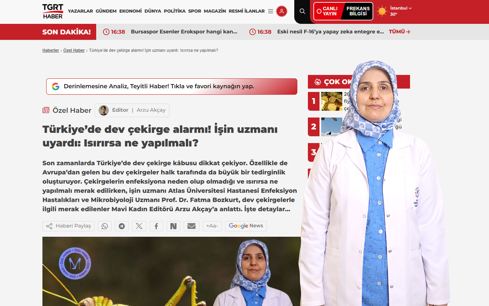 turkiyede dev cekirge alarmi isin uzmani uyardi isirirsa ne yapilmali
